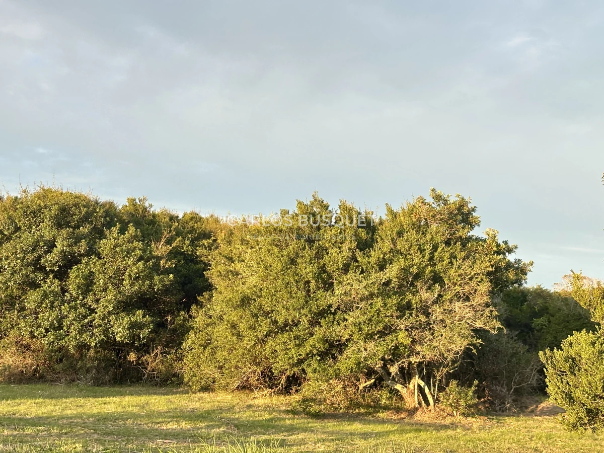 Chacra ID.1047 - Chacra de 7 has. en Venta en José Ignacio 