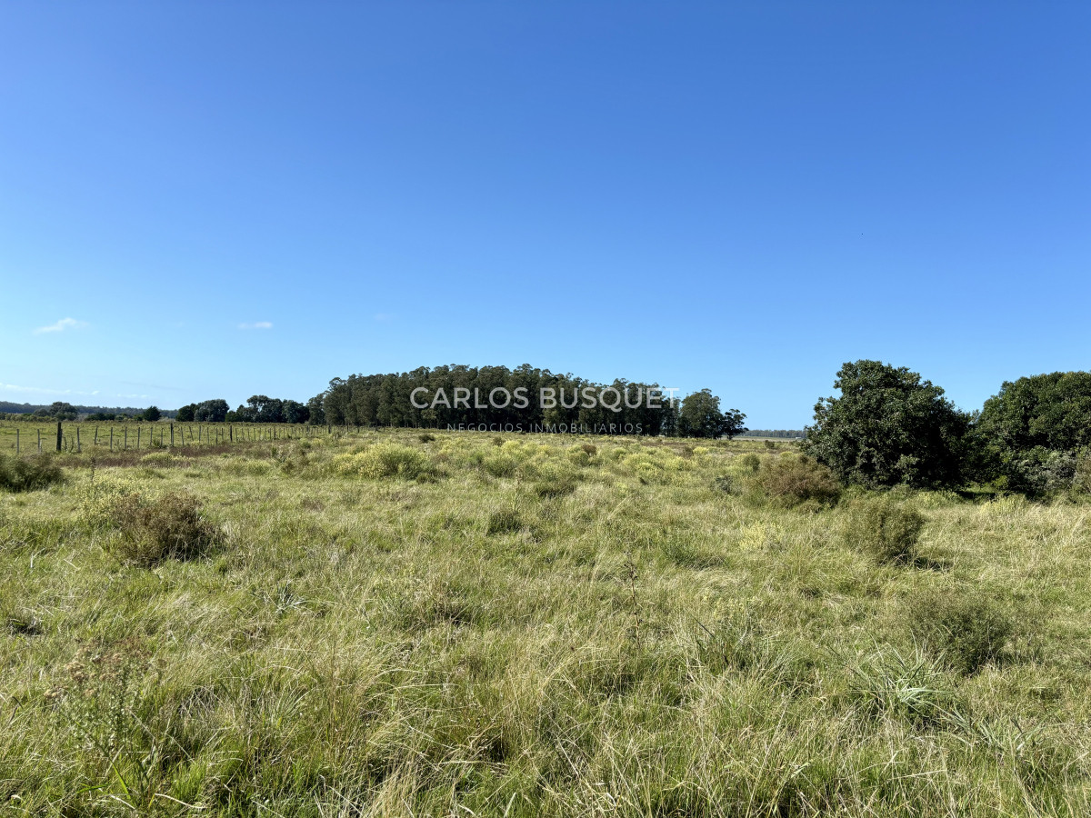 Chacra ID.1097 - Chacra de 6.6 has en Camino Medellin