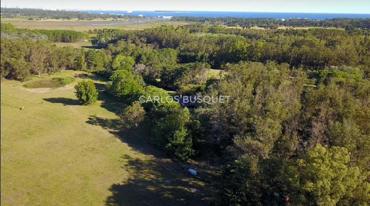 Chacra ID.496 - Chacra en venta de 5 has. en Punta Ballena, Camino Lussich 