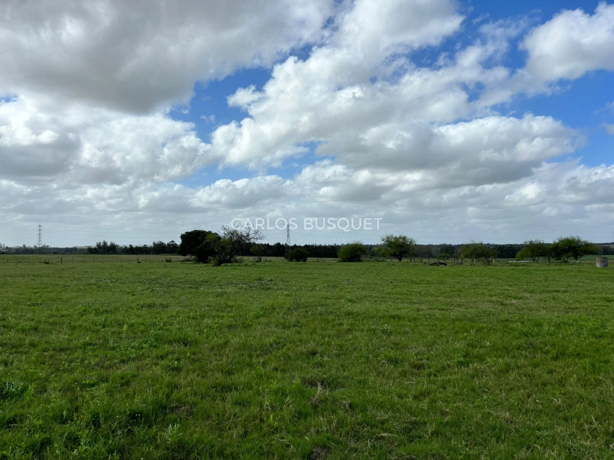 Chacra ID.513 - Chacra de 5 has. en venta sobre ruta 104 