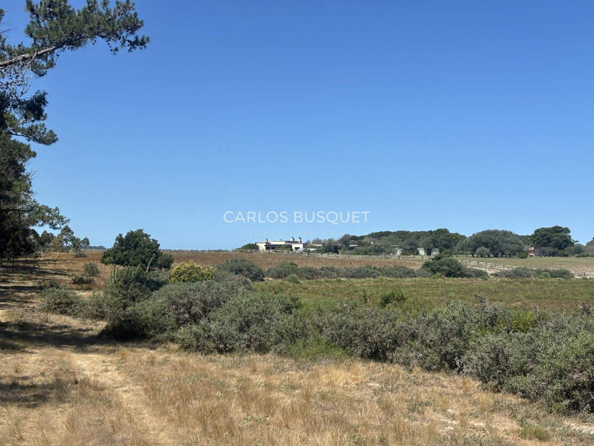 Chacra ID.1522 - Campo de 42 has. con costa de Laguna Garzón 