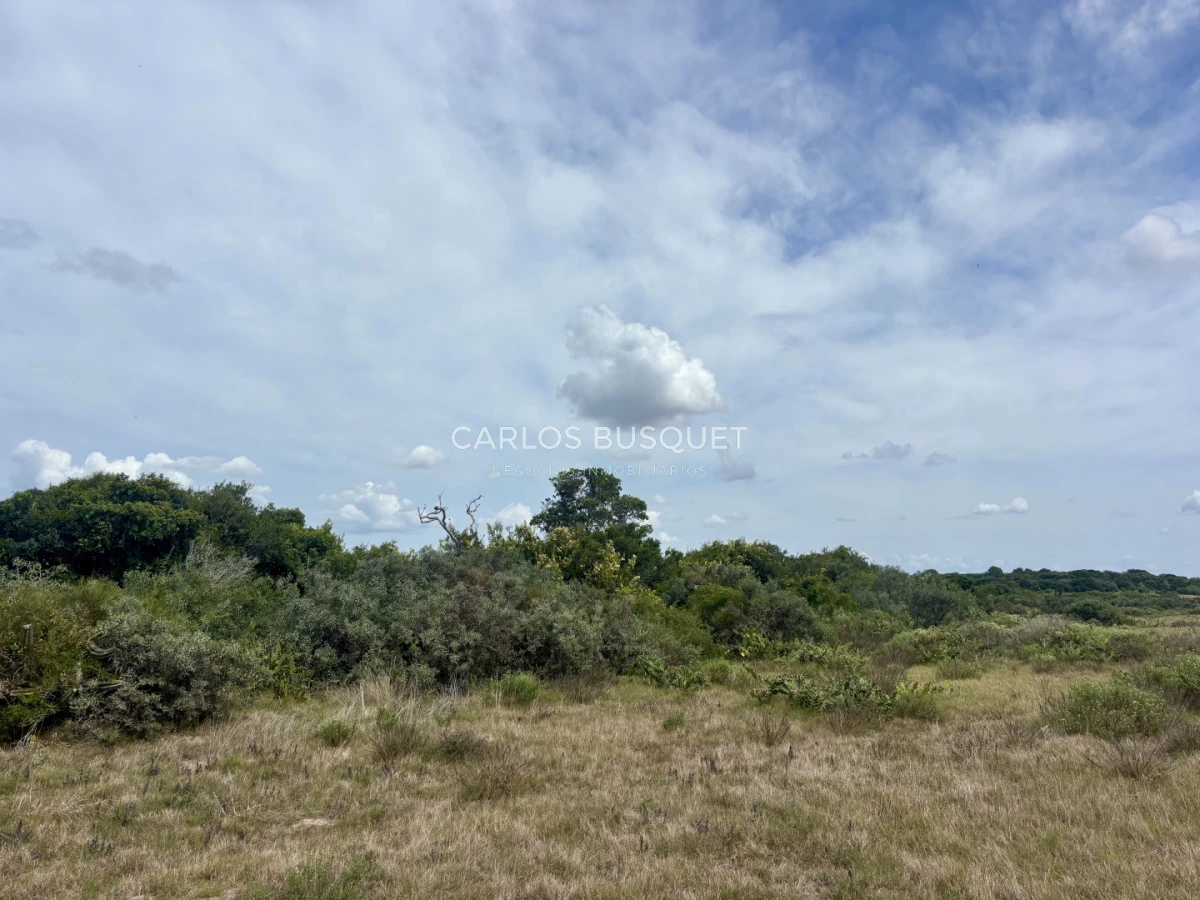 Chacra ID.1533 - Venta Chacra de 24 hectáreas en Jose Ignacio, con costa de Laguna