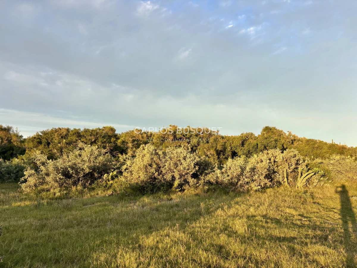 Chacra ID.1047 - Chacra de 7 has. en Venta en José Ignacio 