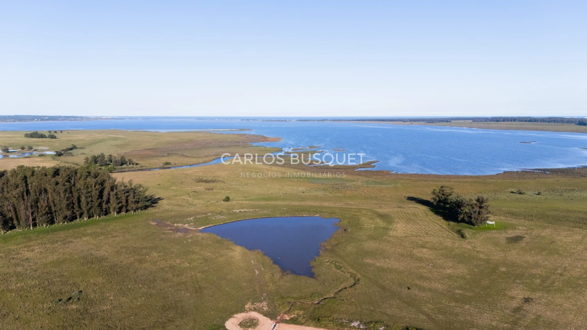 Chacra ID.1654 - Venta Chacra de 30 has. con Costa de Laguna de Jose Ignacio 