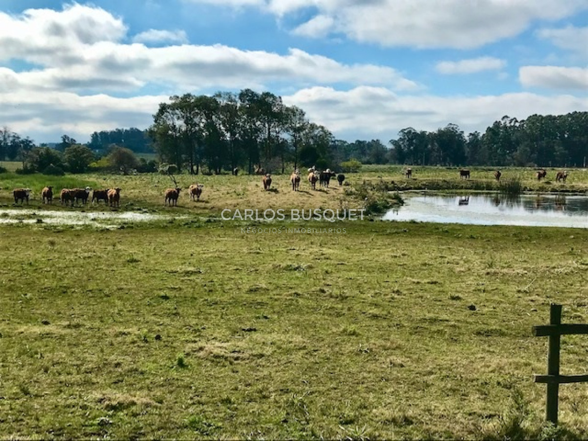 Chacra ID.14 - Chacra en venta de 5 hectáreas - Camino Medellin 