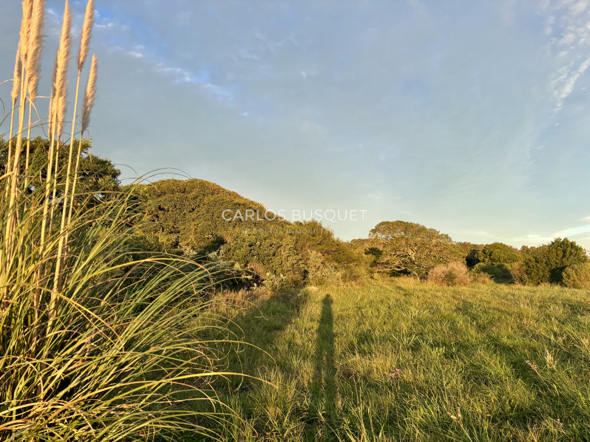 Chacra ID.1047 - Chacra de 7 has. en Venta en zona Chacras de Medellin Sur Lac