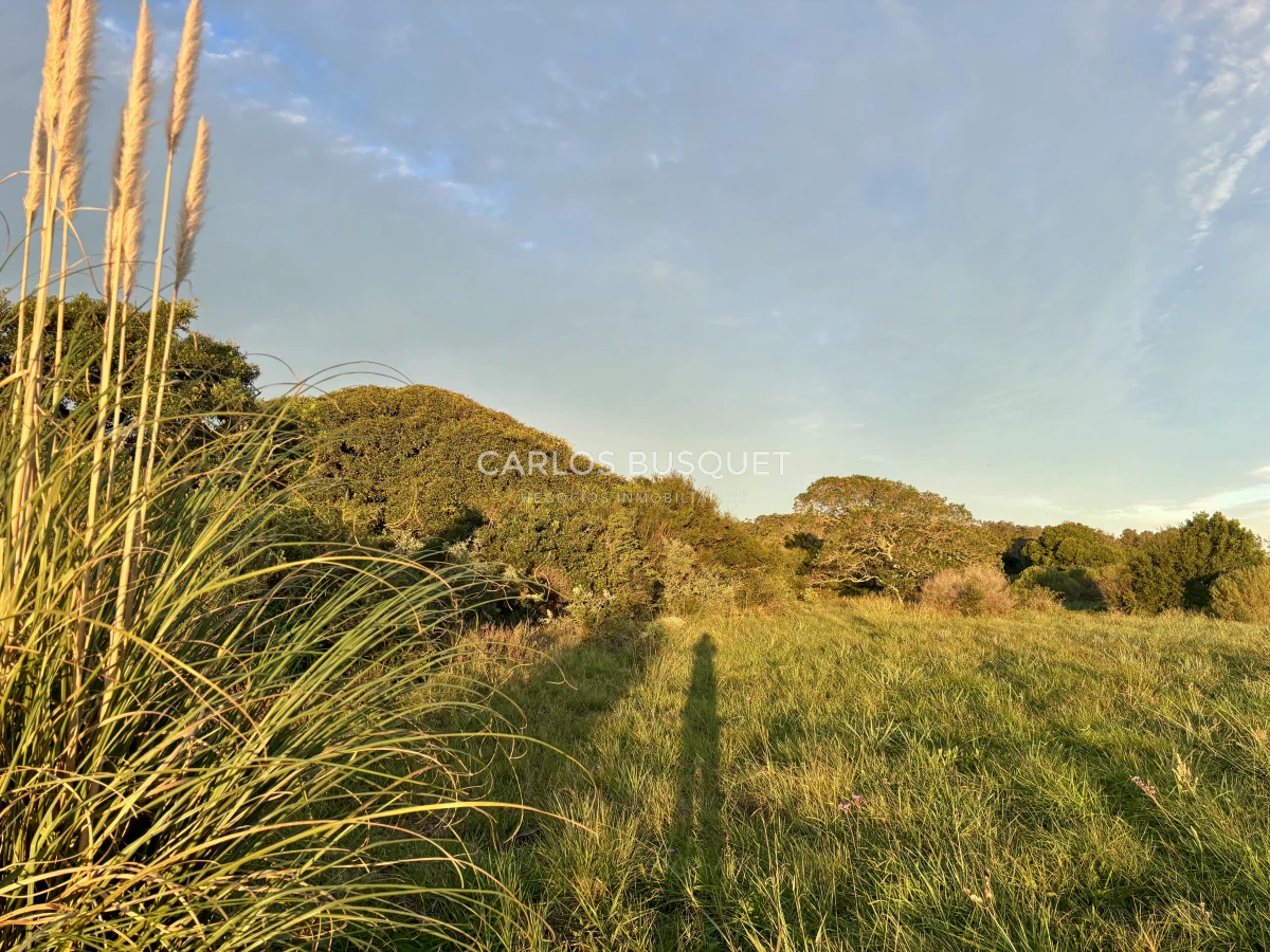 Chacra ID.1047 - Chacra de 7 has. en Venta en José Ignacio 