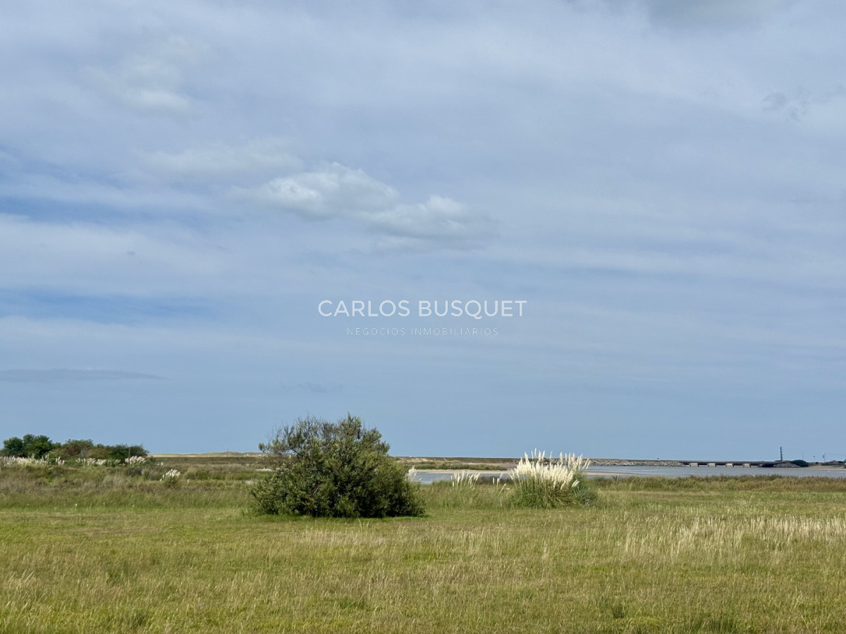 Chacra ID.1533 - Venta Chacra de 24 hectáreas en Jose Ignacio, con costa de Laguna