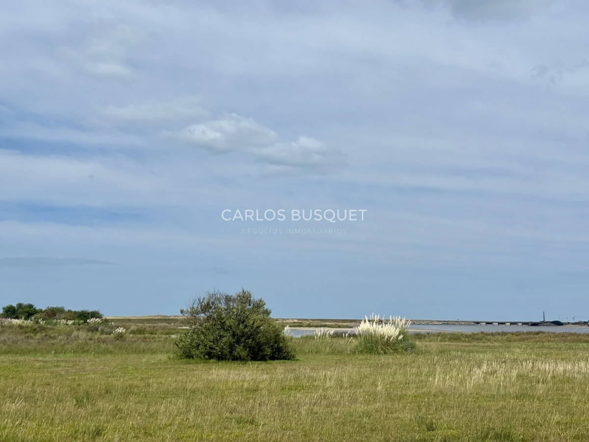 Chacra ID.1533 - Venta Chacra de 24 hectáreas en Jose Ignacio, con costa de Laguna