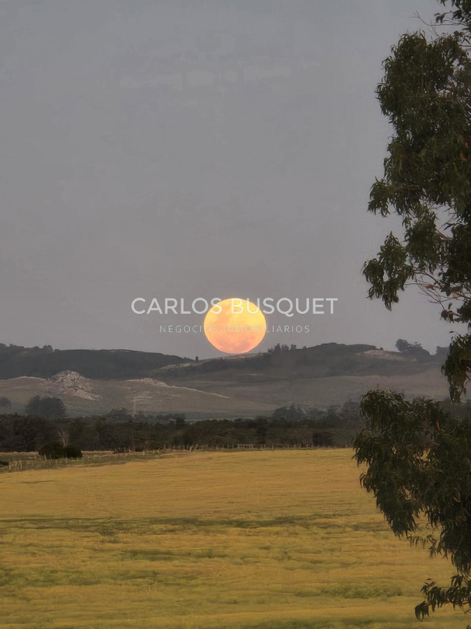 Chacra ID.1668 - Chacra de 5 has. con vista a Laguna del Sauce 