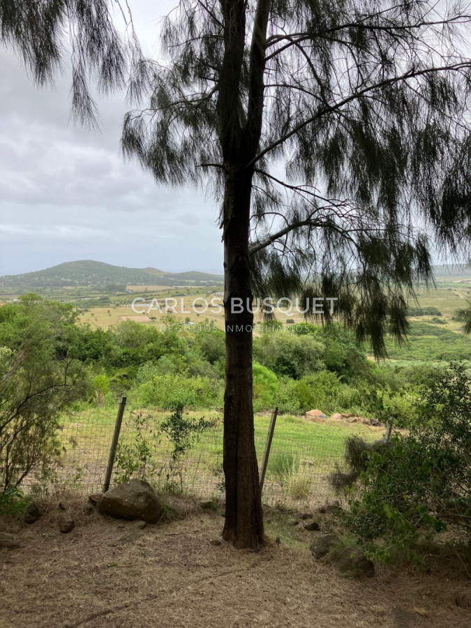 Chacra ID.1667 - Chacras del Cerro - chacras en venta de 5 has. en Pan de Azucar