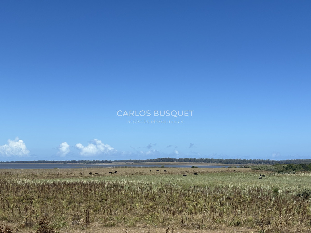 Chacra ID.1552 - Venta campo de 26 hectáreas, en José Ignacio con vista a la Laguna