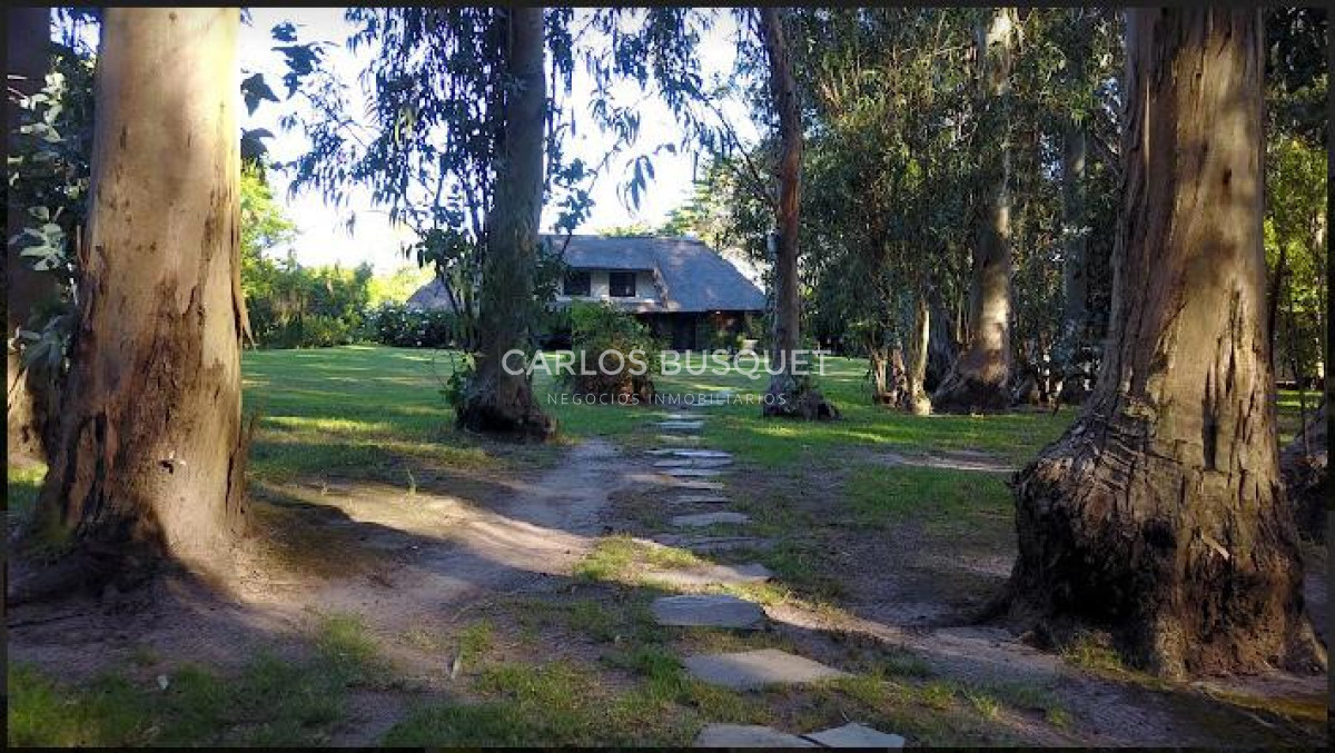 Chacra ID.496 - Chacra en venta de 5 has. en Punta Ballena, Camino Lussich 