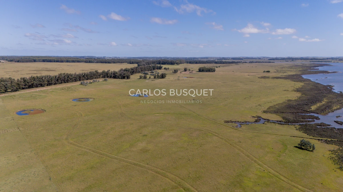 Chacra ID.16 - Chacra de 5 has. en venta en Jose Ignacio, con costa de laguna 