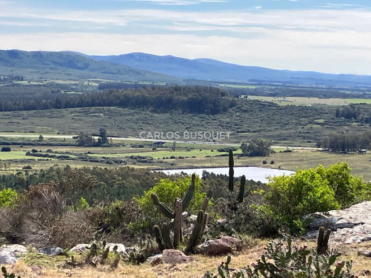 Chacra ID.1667 - Chacras del Cerro - chacras en venta de 5 has. en Pan de Azucar