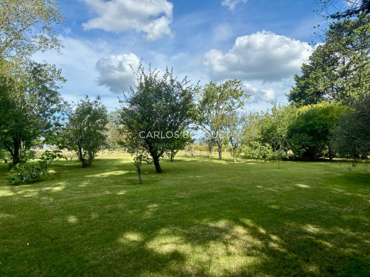 Chacra ID.496 - Chacra en venta de 5 has. en Punta Ballena, Camino Lussich 