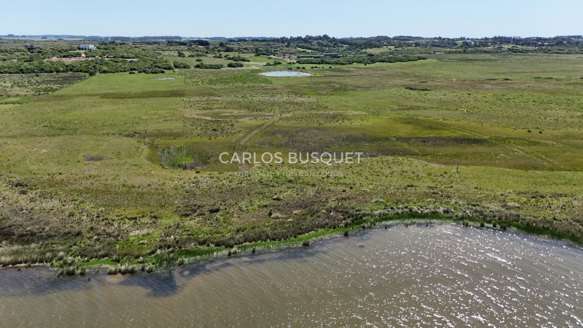 Chacra ID.531 - Chacra en venta de 5 has con costa de Laguna - Jose Ignacio 