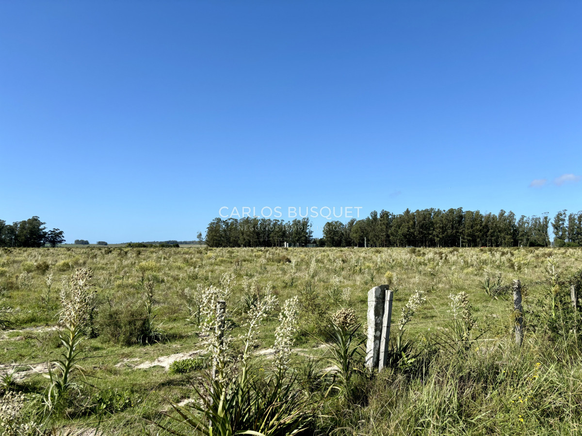 Chacra ID.1097 - Chacra de 6.6 has en Camino Medellin