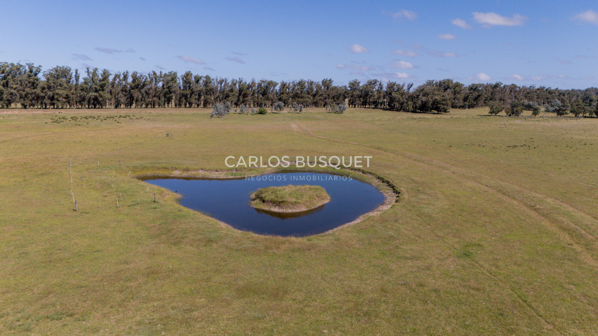 Chacra ID.16 - Chacra de 5 has. en venta en Jose Ignacio, con costa de laguna 