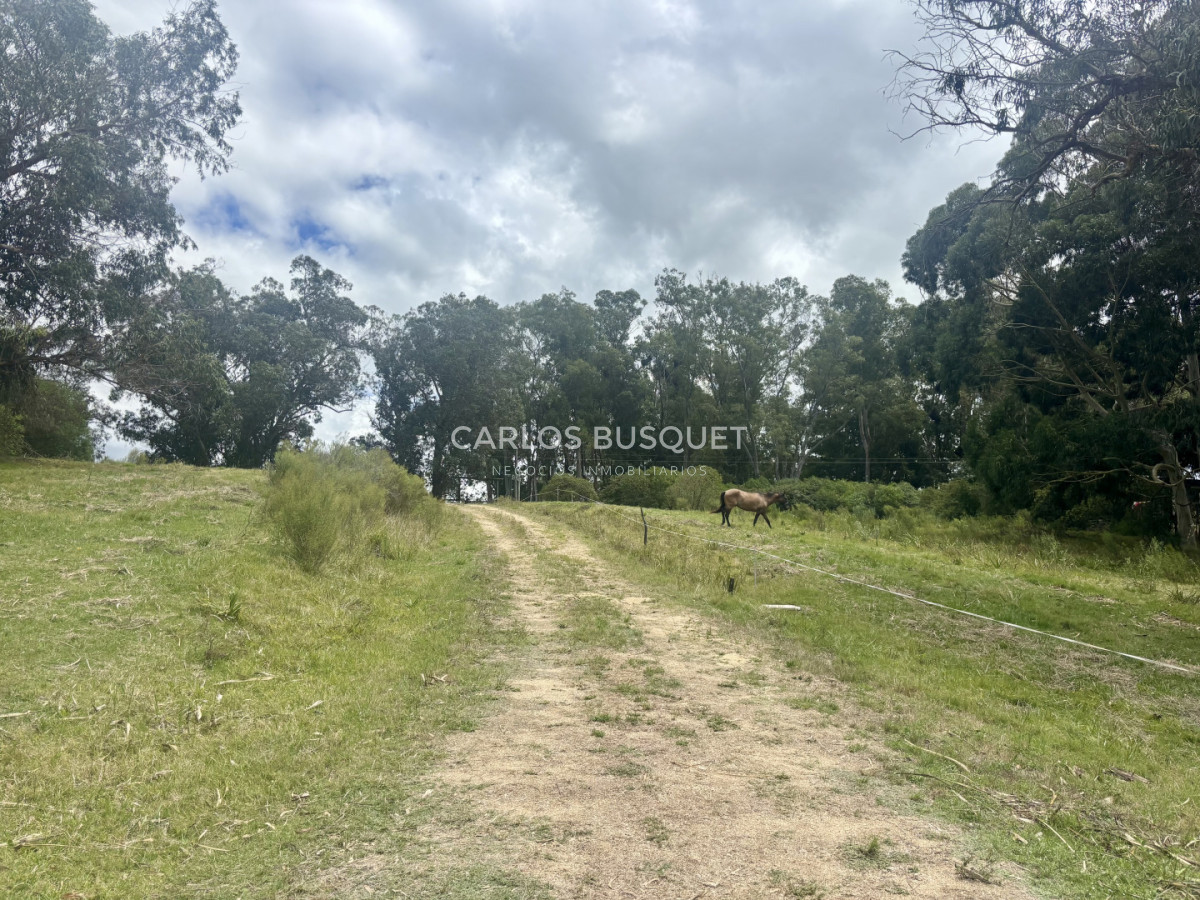 Chacra ID.1496 - Chacra de 5 has. en venta - zona Camino Medellin 