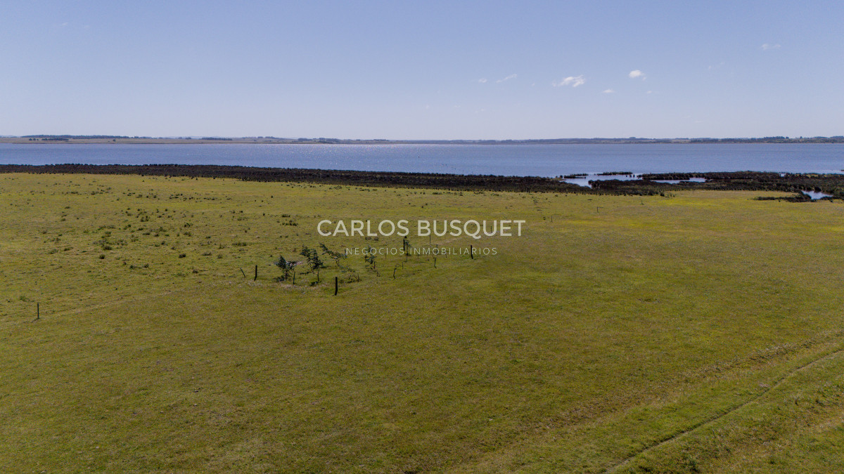 Chacra ID.16 - Chacra de 5 has. en venta en Jose Ignacio, con costa de laguna 