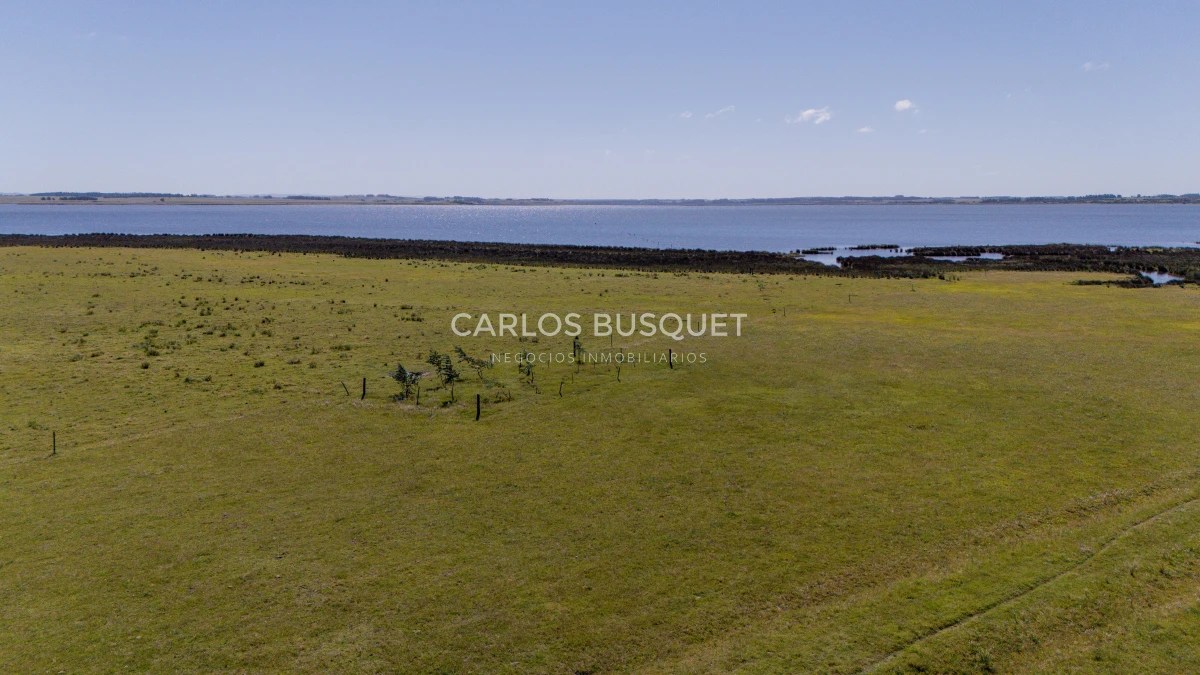 Chacra ID.16 - Chacra de 5 has. en venta en Jose Ignacio, con costa de laguna 