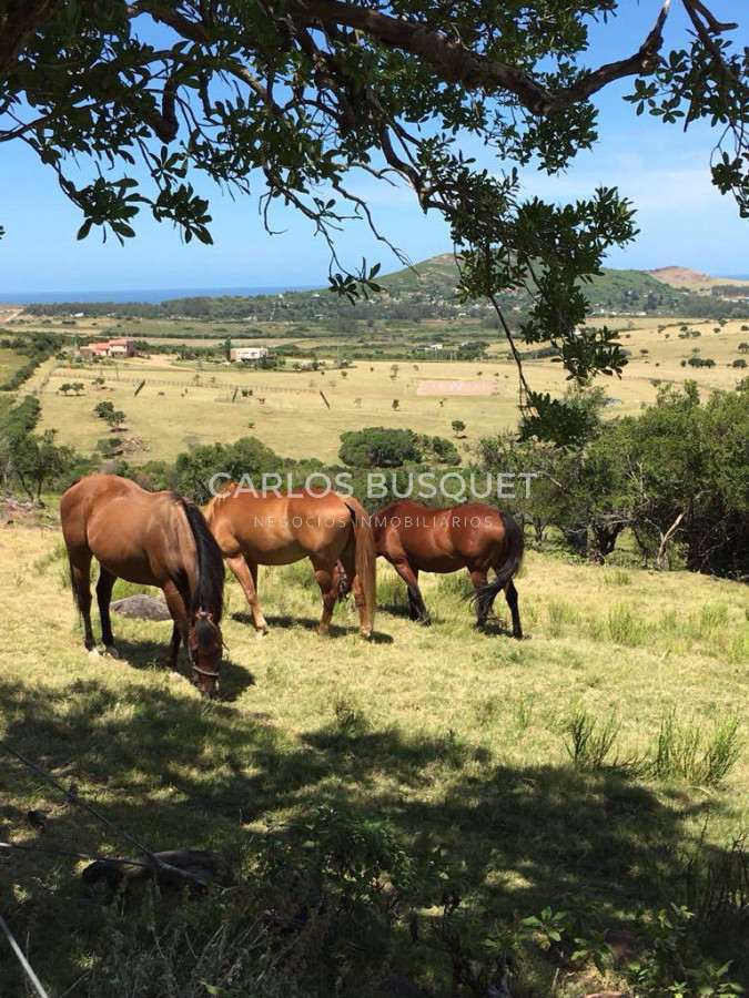 Chacra ID.1667 - Chacras del Cerro - chacras en venta de 5 has. en Pan de Azucar