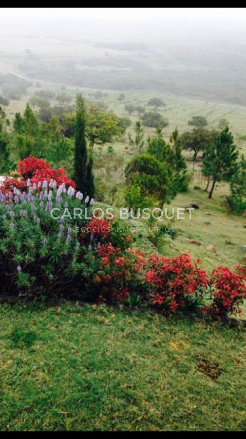Chacra ID.1667 - Chacras del Cerro - chacras en venta de 5 has. en Pan de Azucar