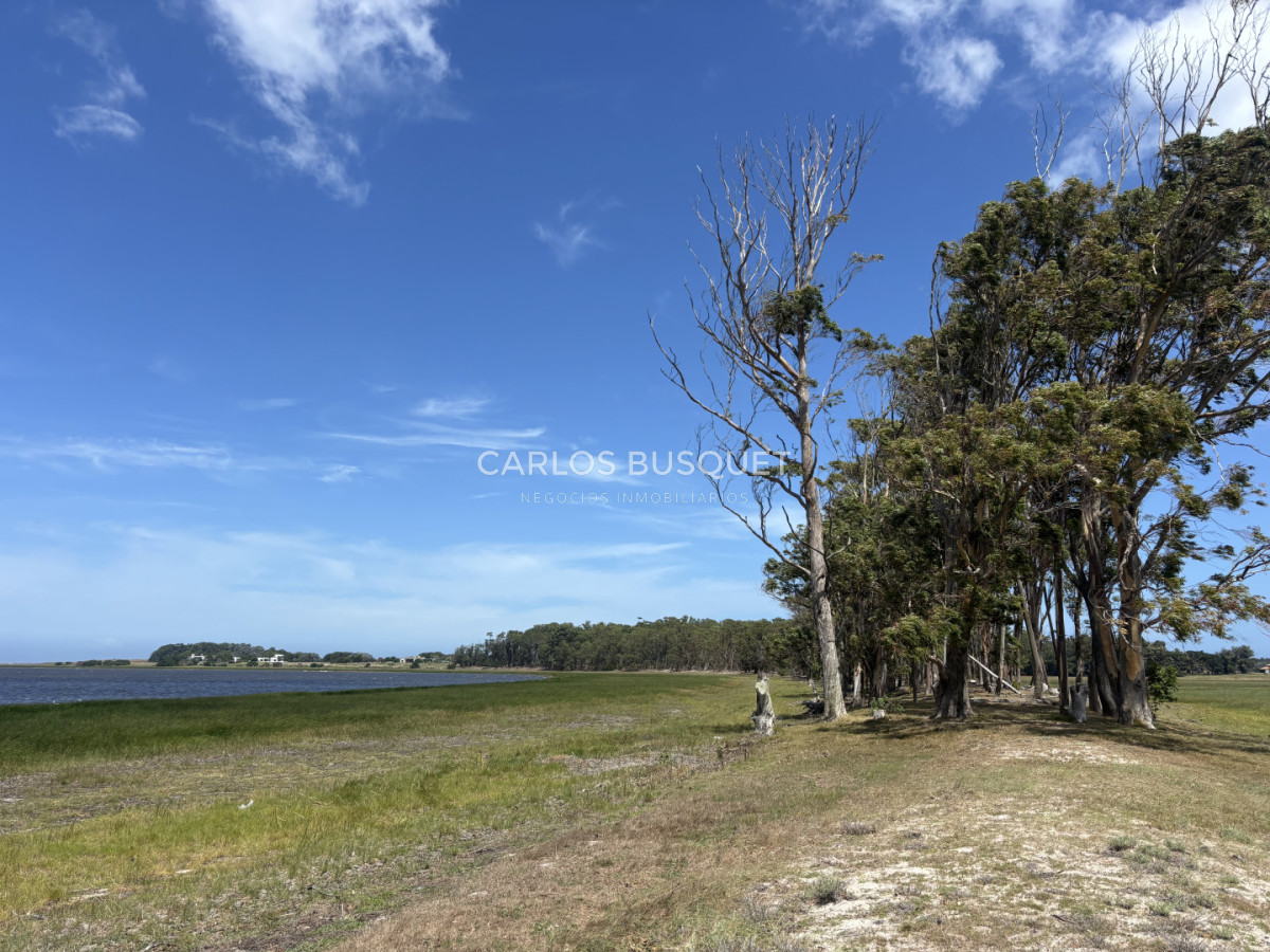 Chacra ID.1522 - Campo de 42 has. con costa de Laguna Garzón 