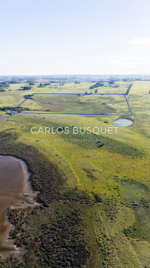 Chacra ID.1552 - Venta campo de 26 hectáreas, en José Ignacio con vista a la Laguna