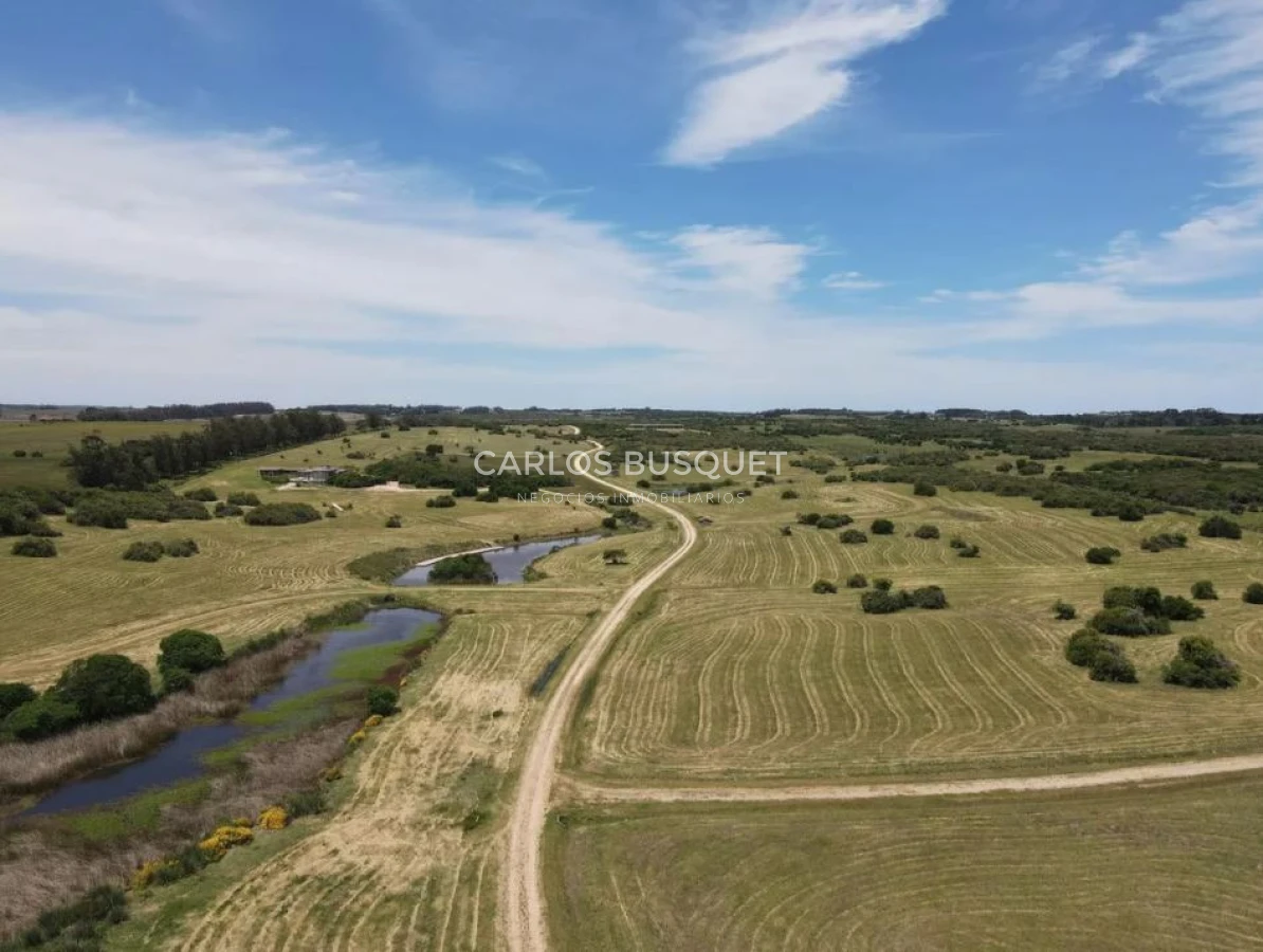 Chacra ID.1403 - Chacra en venta Jose Ignacio Las Coronillas