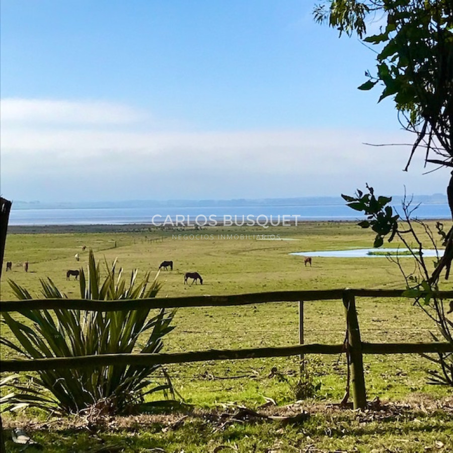 Chacra ID.16 - Chacra de 5 has. en venta en Jose Ignacio, con costa de laguna 