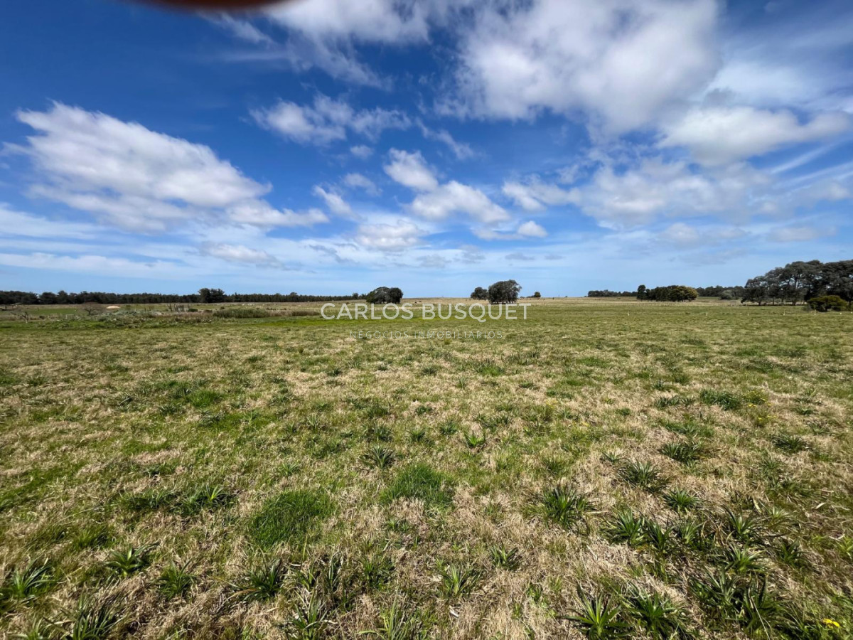 Chacra ID.1319 - Venta chacra de 5 hectáreas en Camino Medellin , parquizada. 