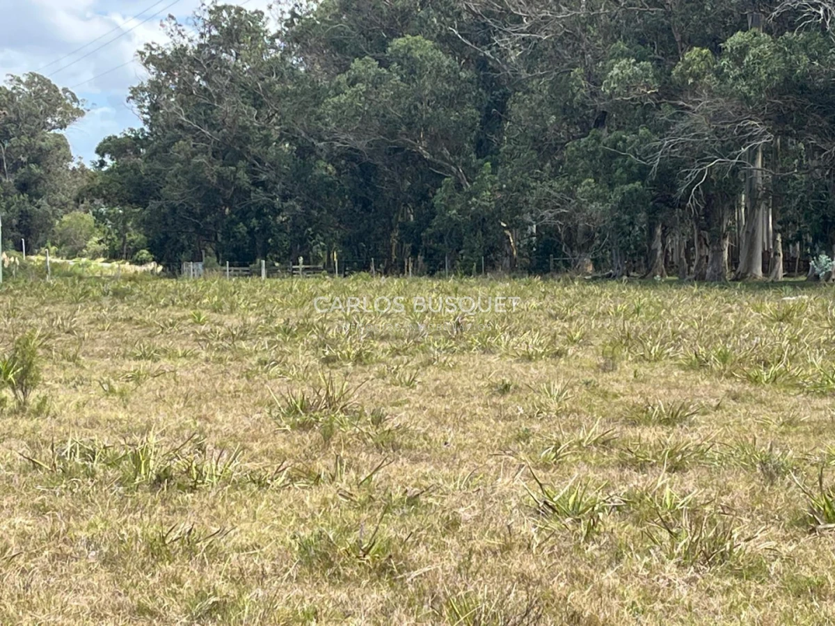 Chacra ID.1548 - Chacra de 5 has. en venta en Camino Medellin