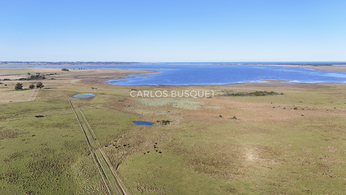Chacra ID.1552 - Venta campo de 26 hectáreas, en José Ignacio con vista a la Laguna