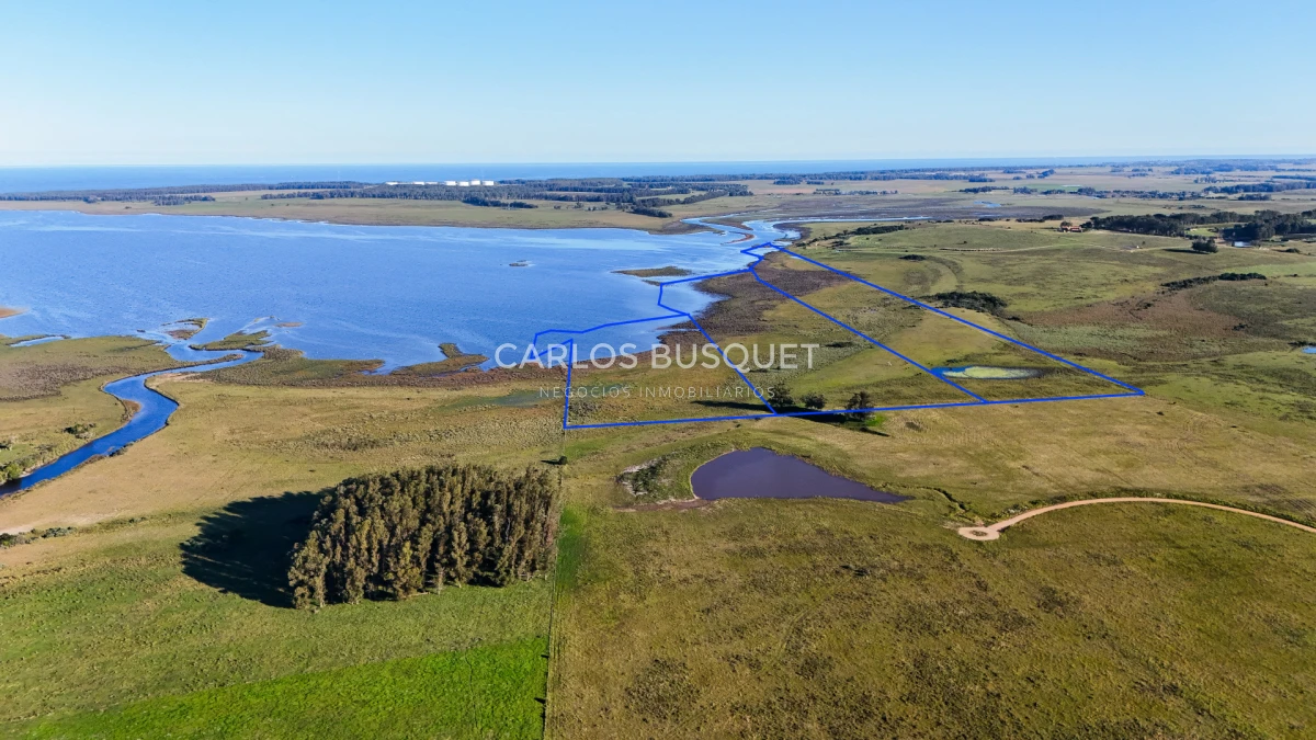 Chacra ID.1654 - Venta Chacra de 30 has. con Costa de Laguna de Jose Ignacio 