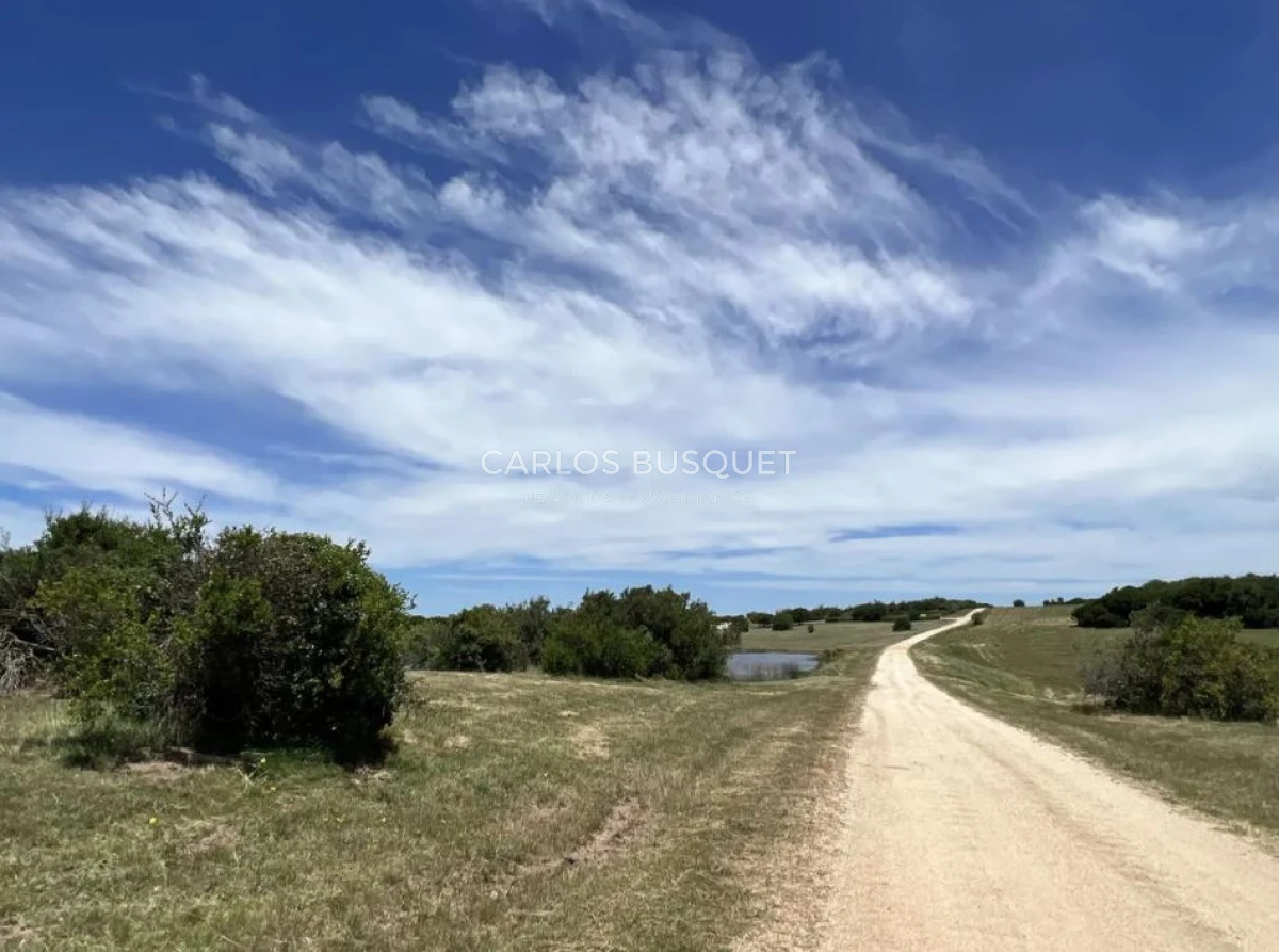 Chacra ID.1403 - Chacra en venta Jose Ignacio Las Coronillas