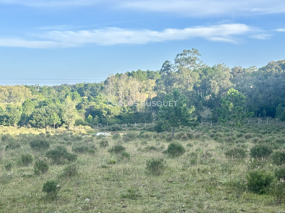Chacra ID.1044 - Chacra en venta de 8 has. sobre Ruta 104
