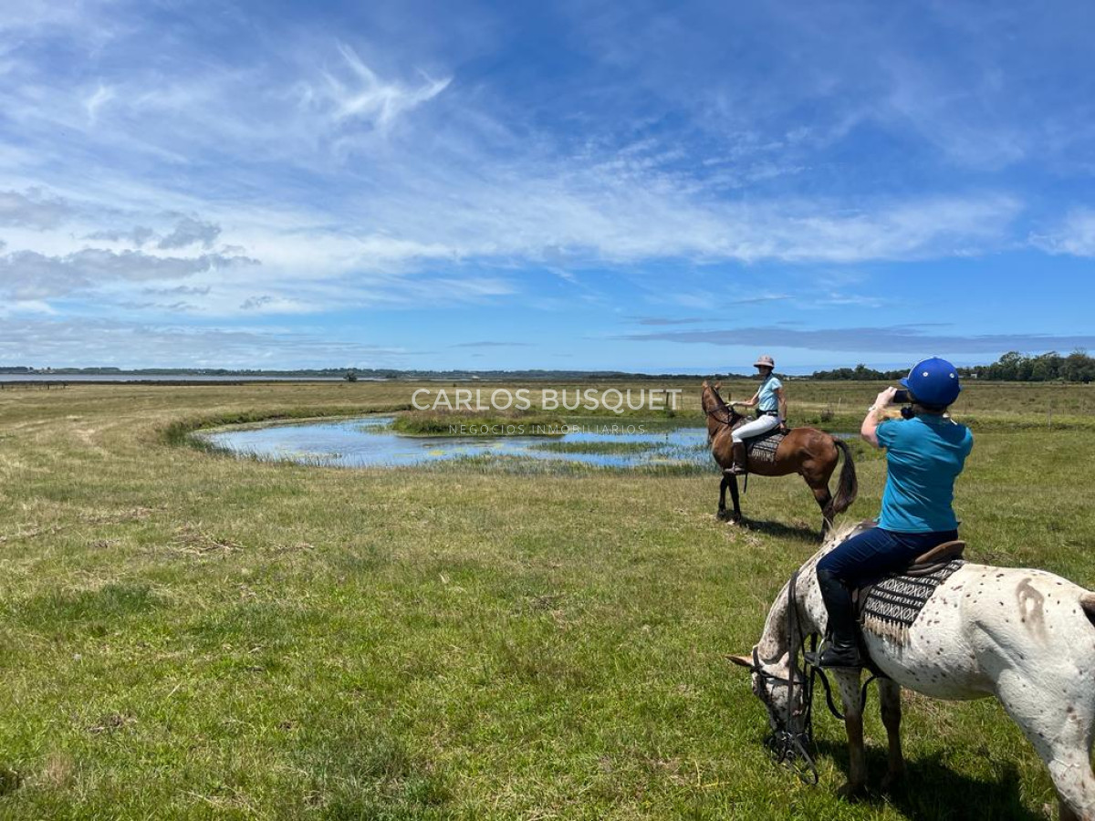 Chacra ID.16 - Chacra de 5 has. en venta en Jose Ignacio, con costa de laguna 
