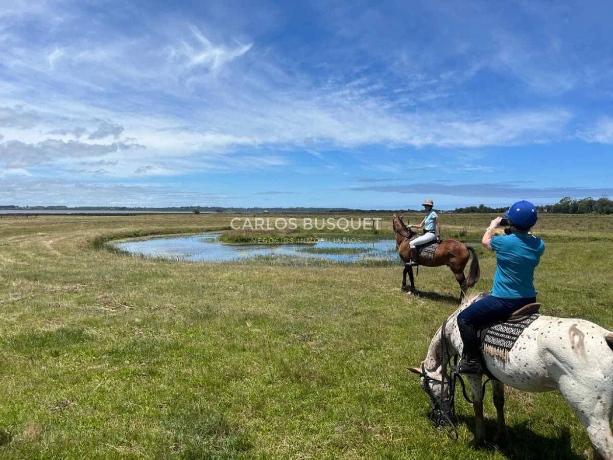 Chacra ID.16 - Chacra de 5 has. en venta en Jose Ignacio, con costa de laguna 
