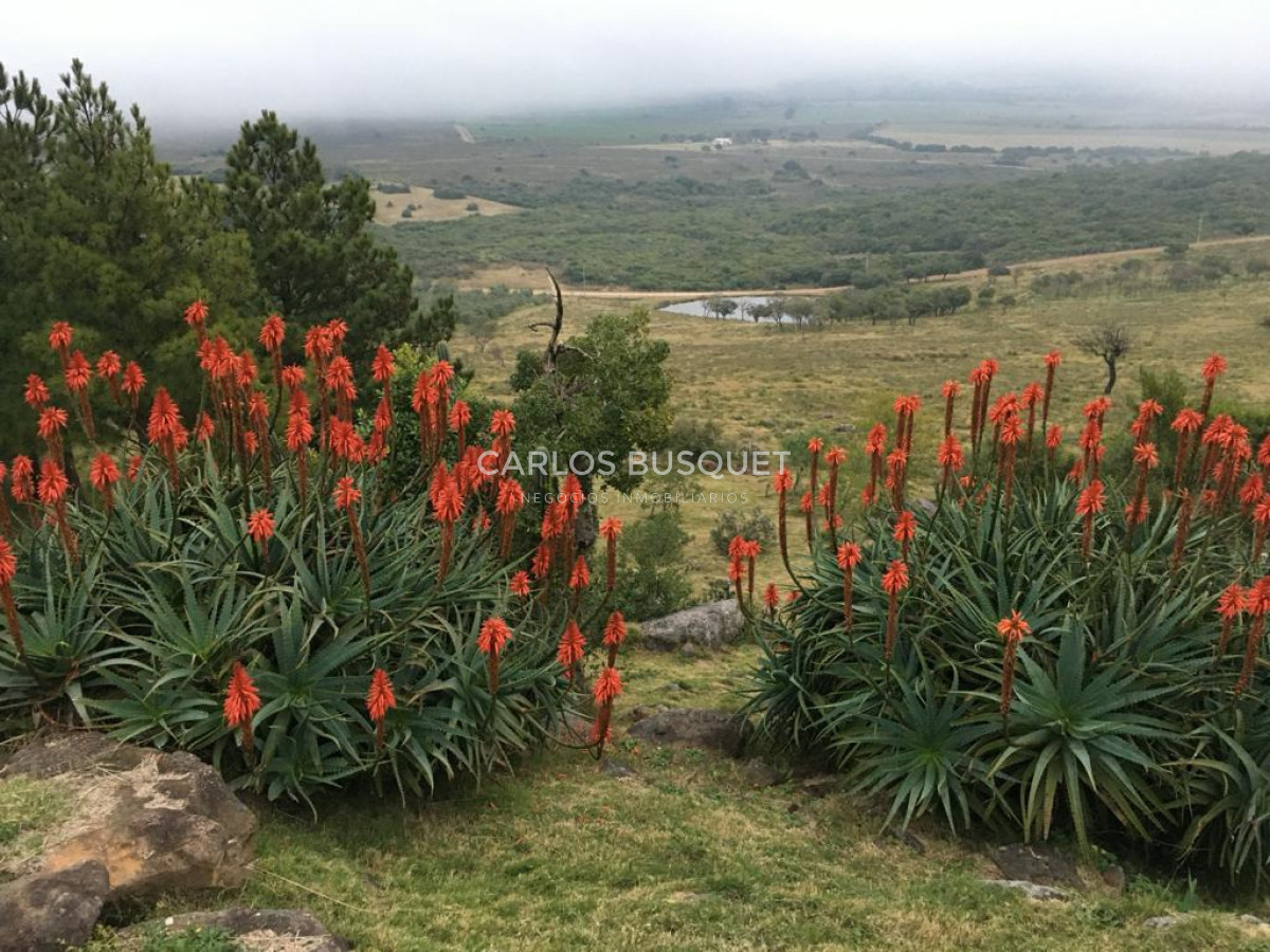 Chacra ID.1667 - Chacras del Cerro - chacras en venta de 5 has. en Pan de Azucar