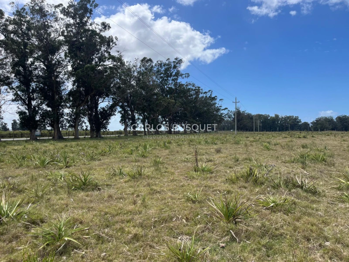 Chacra ID.1548 - Chacra de 5 has. en venta en Camino Medellin