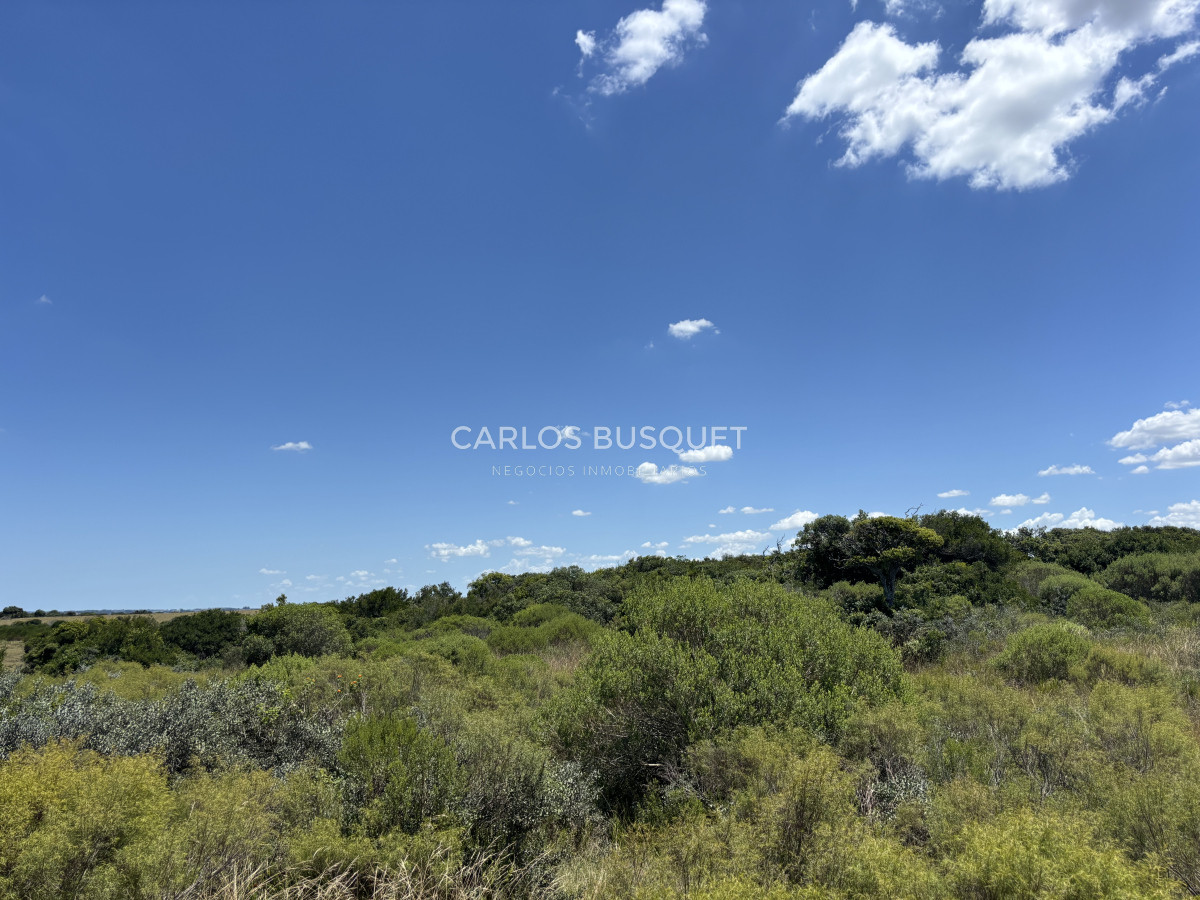 Chacra ID.899 - Chacra de 5 has. en venta en Jose Ignacio