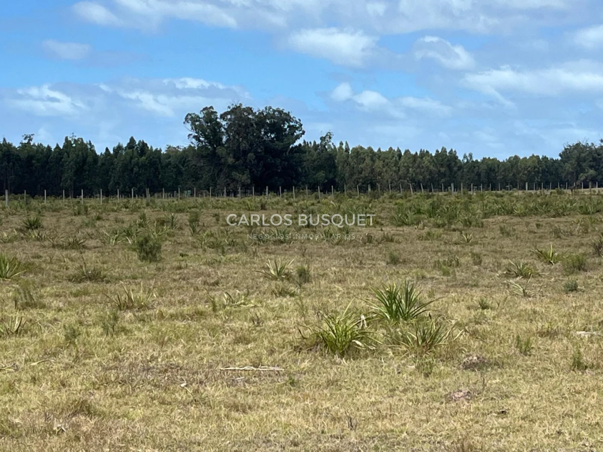 Chacra ID.1548 - Chacra de 5 has. en venta en Camino Medellin