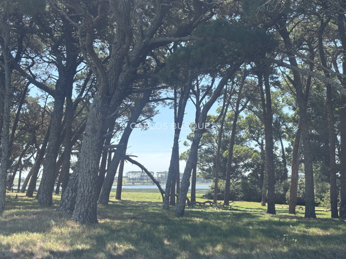 Chacra ID.1522 - Campo de 42 has. con costa de Laguna Garzón 