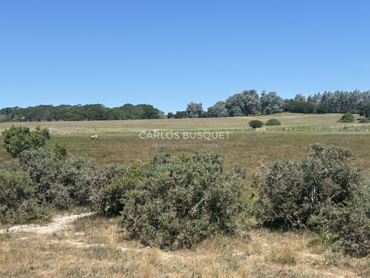 Chacra ID.1522 - Campo de 42 has. con costa de Laguna Garzón 