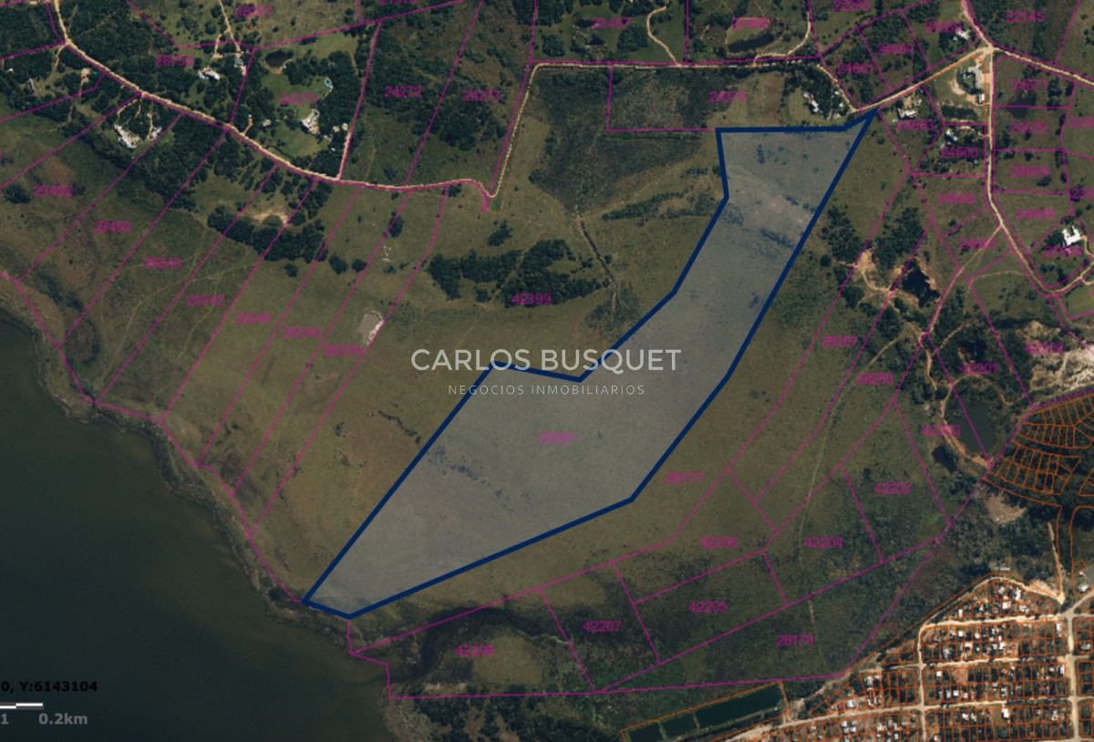 Chacra ID.1533 - Venta Chacra de 24 hectáreas en Jose Ignacio, con costa de Laguna
