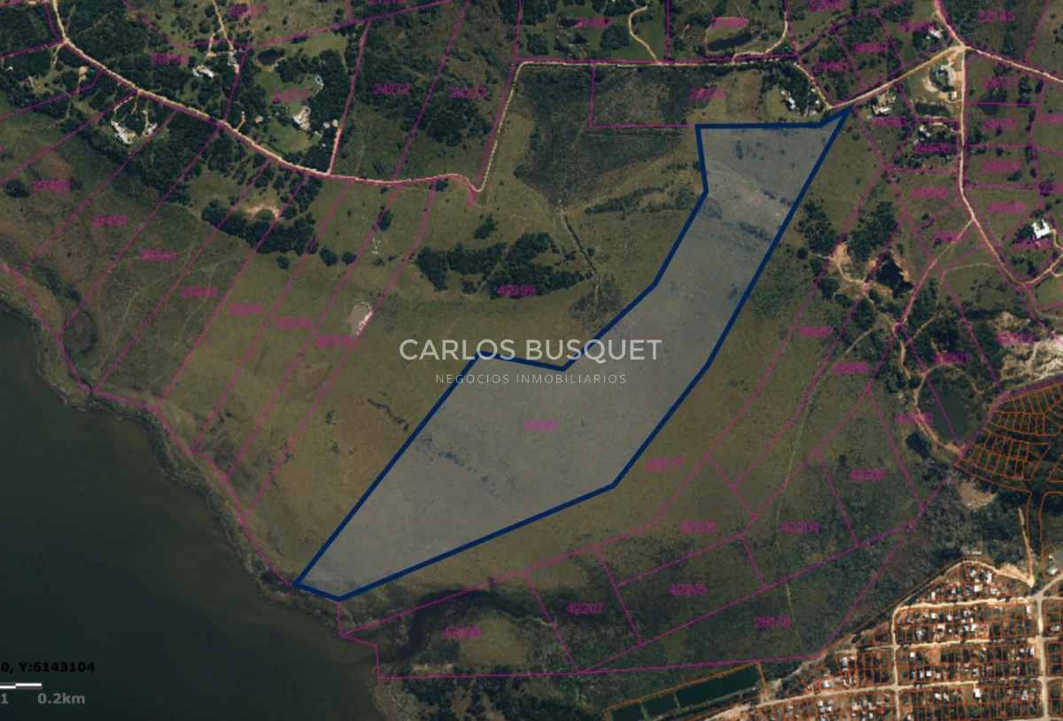 Chacra ID.1533 - Venta Chacra de 24 hectáreas en Jose Ignacio, con costa de Laguna