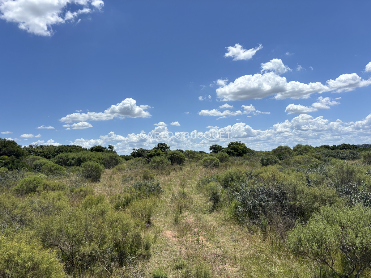 Chacra ID.899 - Chacra de 5 has. en venta en Jose Ignacio