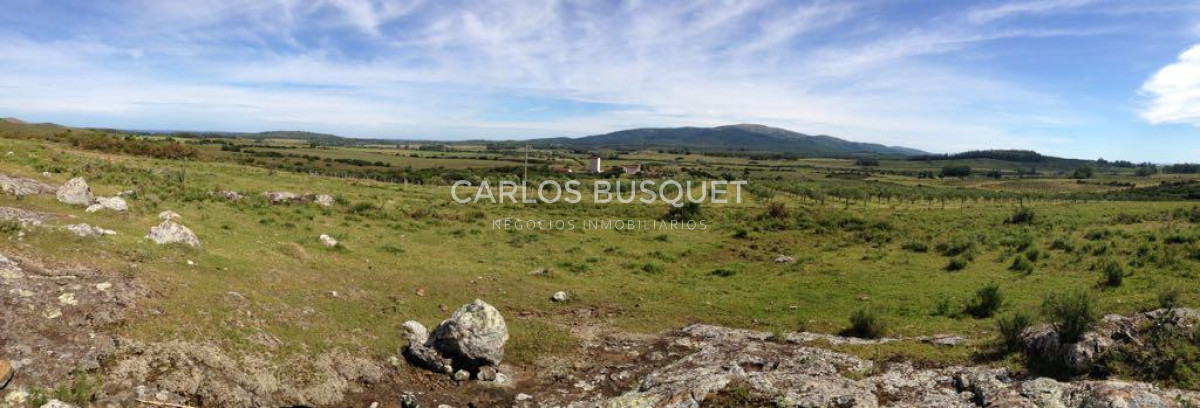 Chacra ID.1667 - Chacras del Cerro - chacras en venta de 5 has. en Pan de Azucar